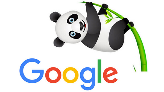 google-panda